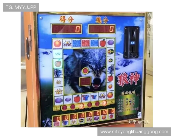老虎角子机不同版本比较分析，帮助玩家选择最适合自己的游戏模式与玩法